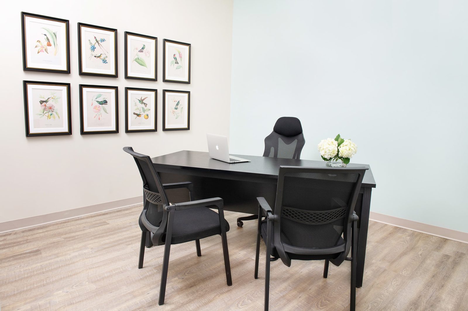 Furnished interior private office with framed botanical prints